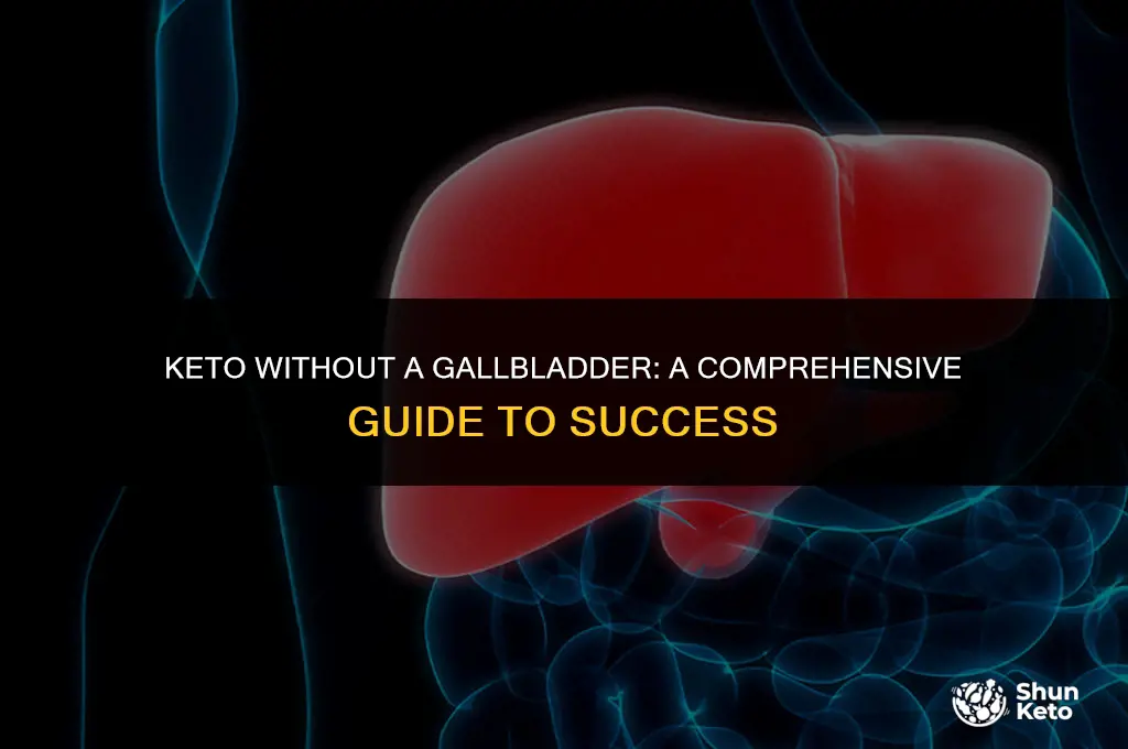 how to keto without gallbladder