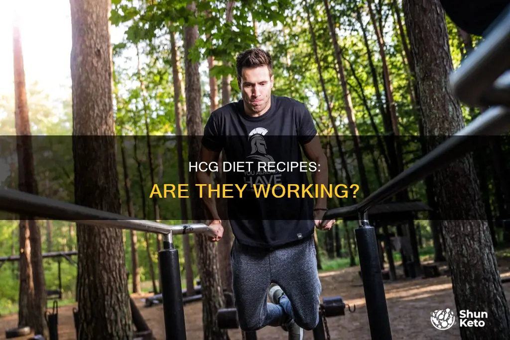 how to know if your hcg diet recipes are effective