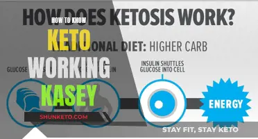 Signs of Ketosis: How Your Body Tells You Keto's Working