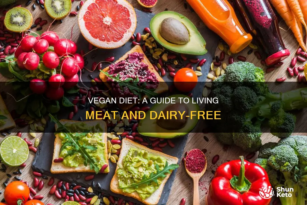 how to live a vegan diet