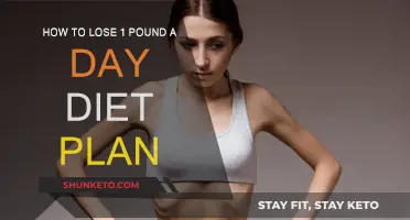 Lose One Pound Daily: Diet Plan Revealed