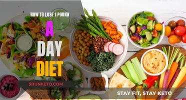 Rapid Weight Loss: Drop One Pound Daily