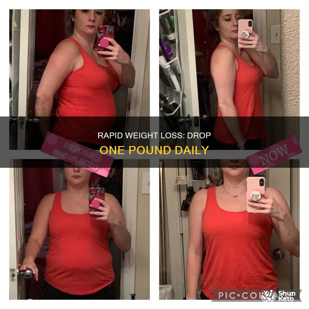 how to lose 1 pound a day diet