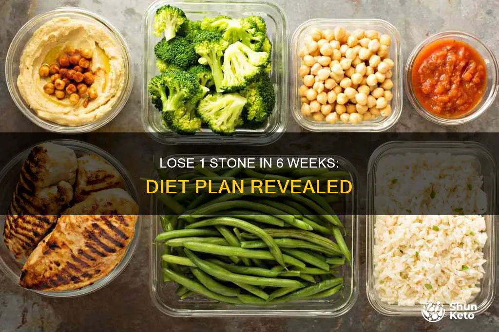 how to lose 1 stone in 6 weeks diet plan