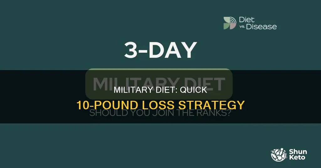 how to lose 10 pounds fast military diet