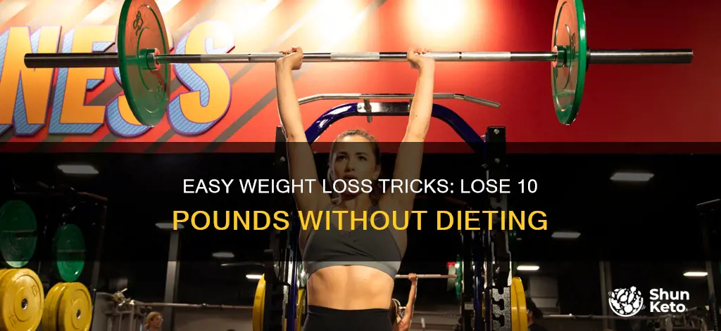 how to lose 10 pounds fast without diet