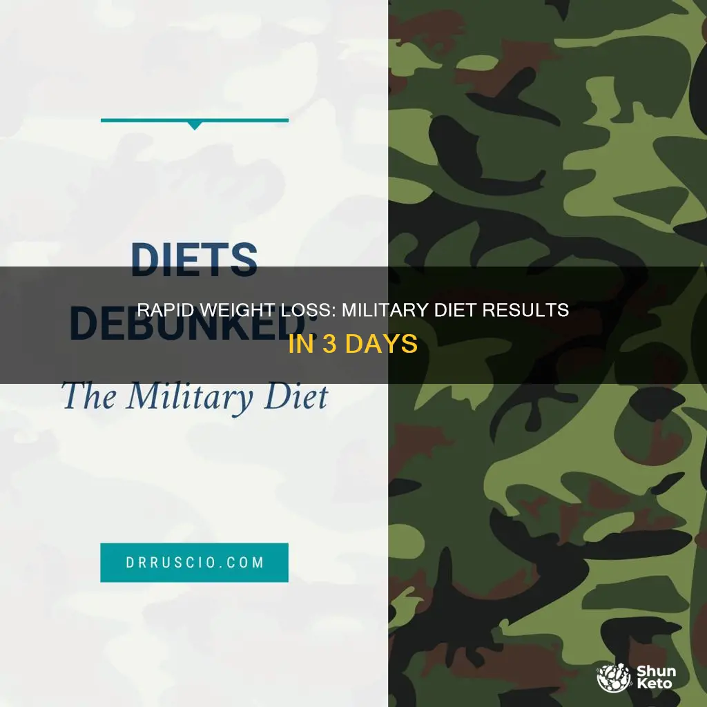 how to lose 10 pounds in 3 days militart diet