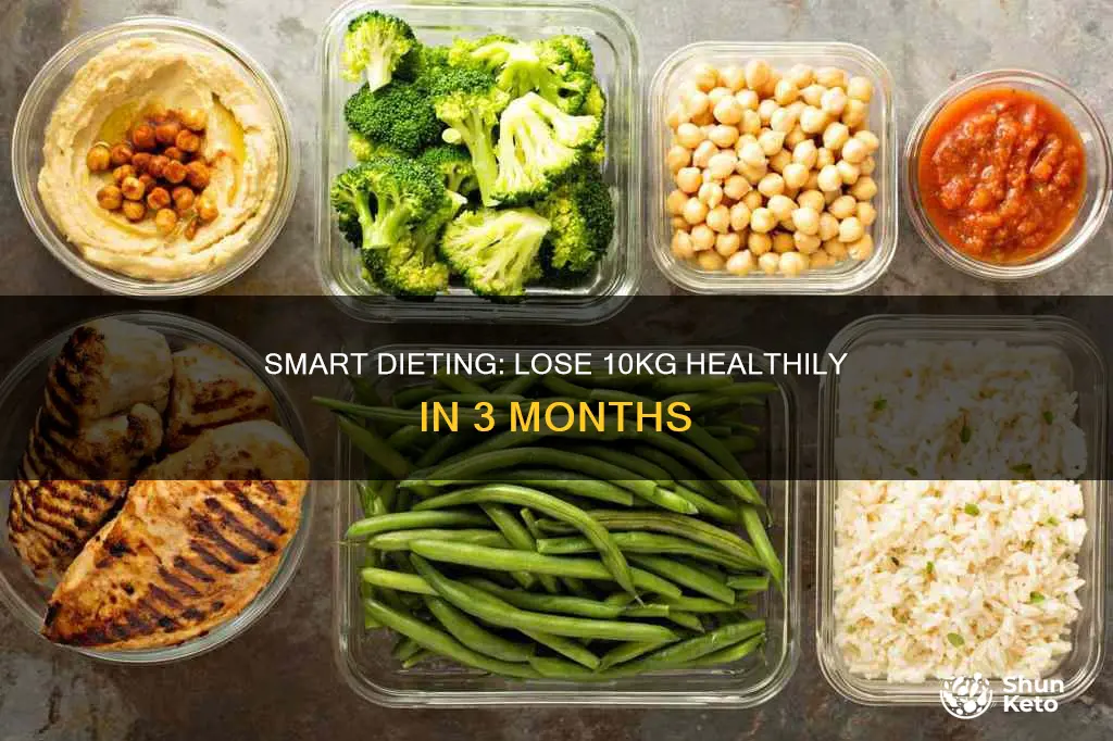 how to lose 10kg in 3 month diet plan