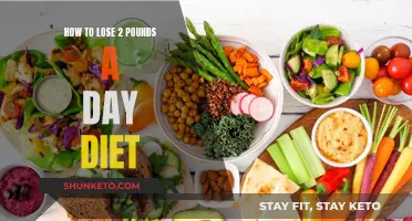 Rapid Weight Loss: 2 Pounds a Day Diet Plan