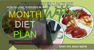 Rapid Weight Loss: 20 Pounds in 1 Month Diet Plan