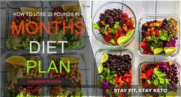 Lose 20 Pounds in 4 Months: Diet Plan Revealed