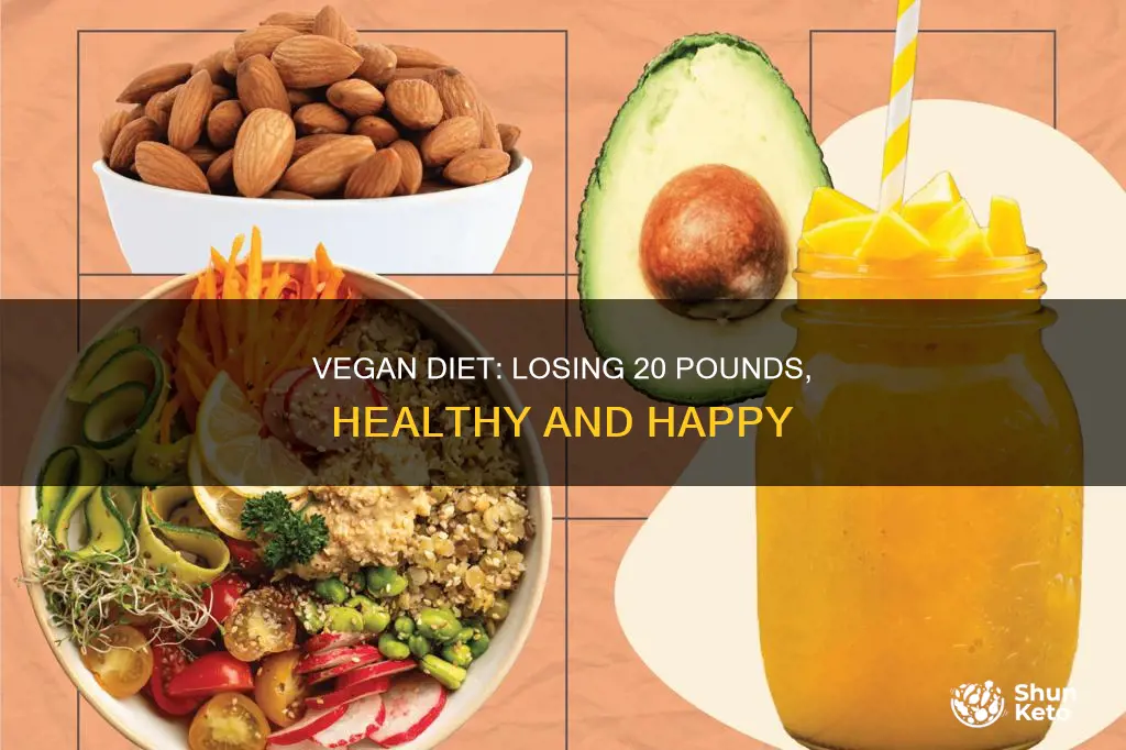 how to lose 20 pounds on a vegan diet