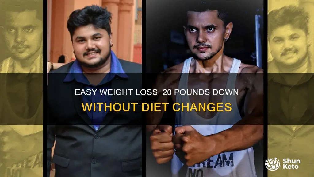 how to lose 20 pounds without changing diet