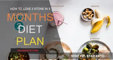 Rapid Weight Loss: 3-Month Diet Plan to Lose 3 Stone