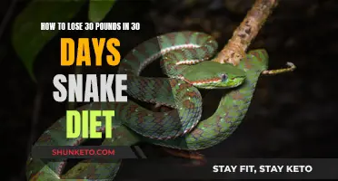 Rapid Weight Loss: Snake Diet Secrets