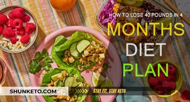 Lose 40 Pounds in 4 Months: Diet Plan Revealed