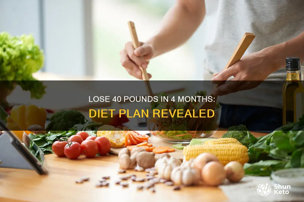 how to lose 40 pounds in 4 months diet plan