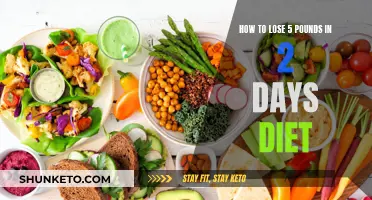 Rapid Weight Loss: 2-Day Diet for 5 Pounds Loss
