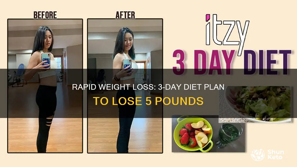 how to lose 5 pounds in 3 days diet plan