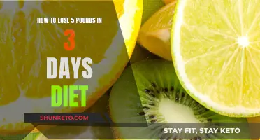 Rapid Weight Loss: 3-Day Diet to Shed 5 Pounds