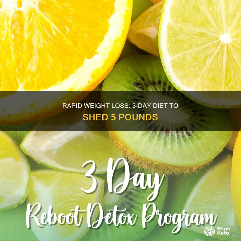 how to lose 5 pounds in 3 days diet