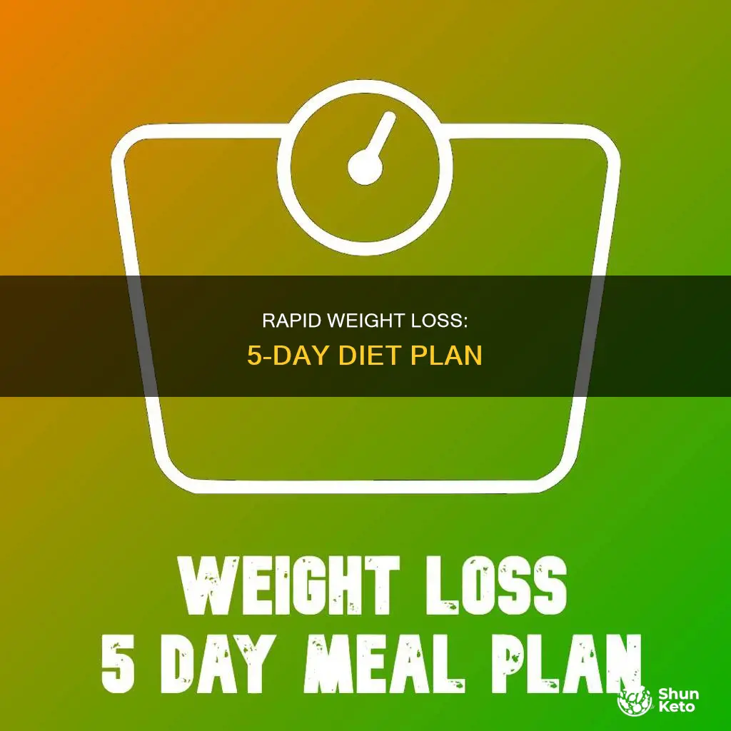 how to lose 5 pounds in 5 days diet