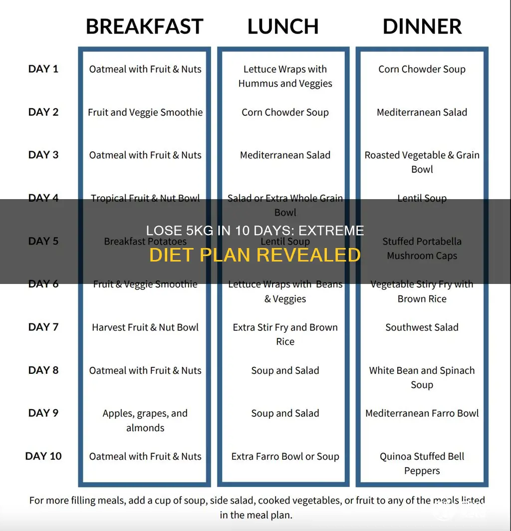 how to lose 5kg in 10 days diet plan