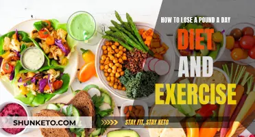 Rapid Weight Loss: Diet and Exercise for a Pound a Day
