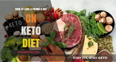 Rapid Keto Weight Loss: Shedding a Pound Daily Safely and Effectively