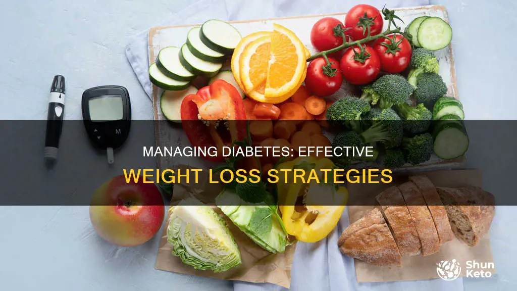 how to lose diet with diabetes