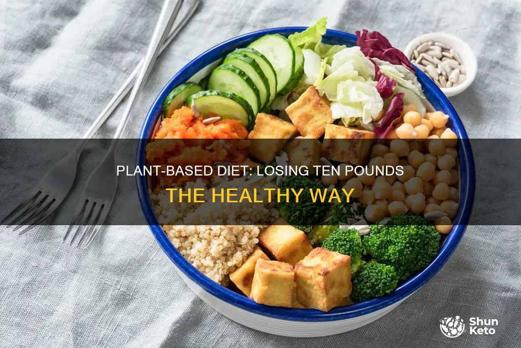 how to lose ten pounds on a plant based diet