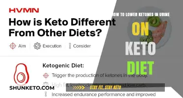 Lowering Ketones in Urine: Effective Strategies for Keto Dieters