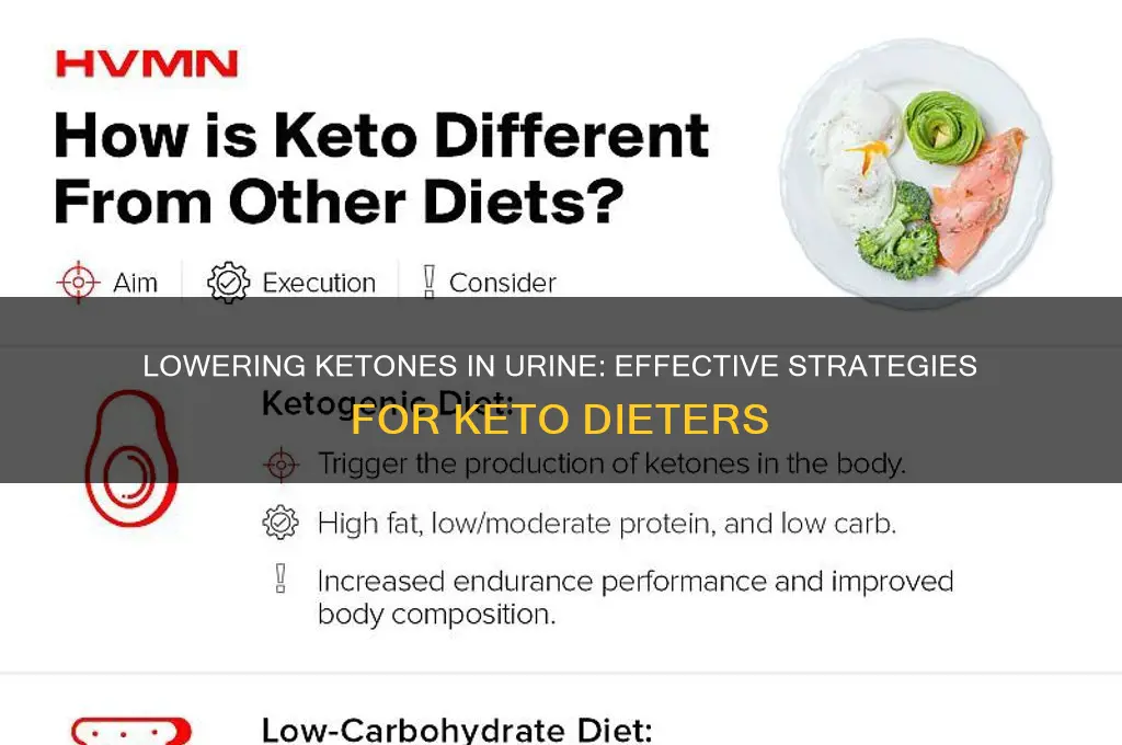 how to lower ketones in urine on keto diet