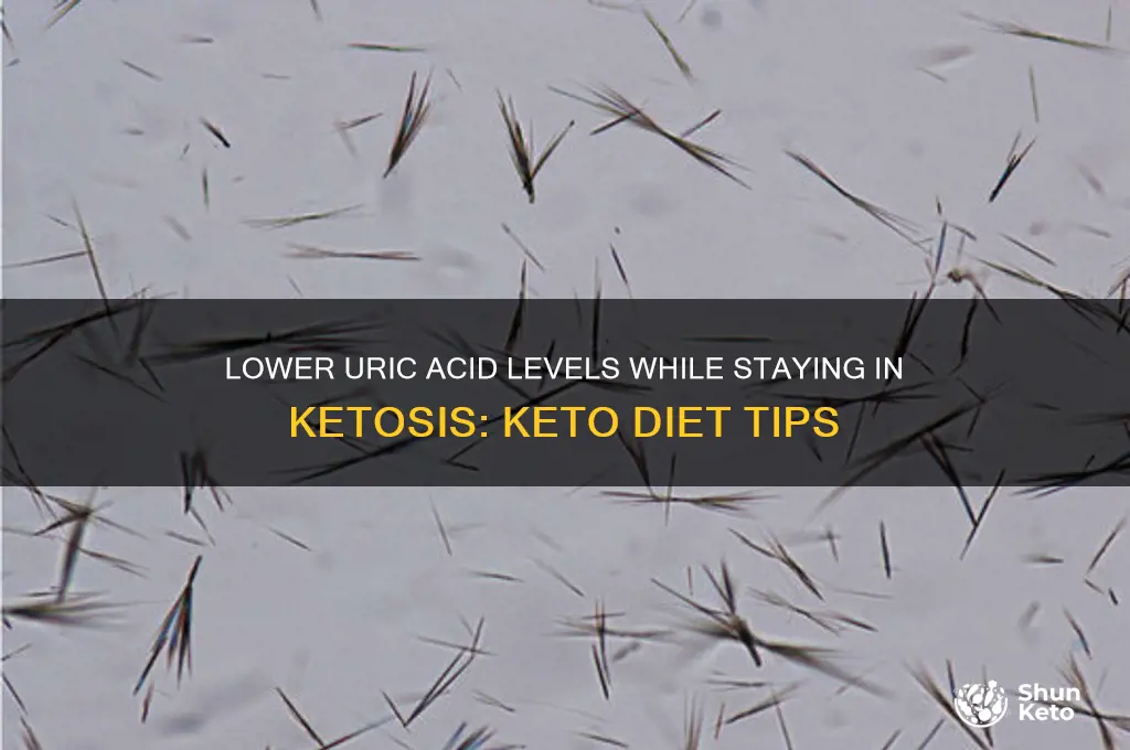 how to lower uric acid on keto diet