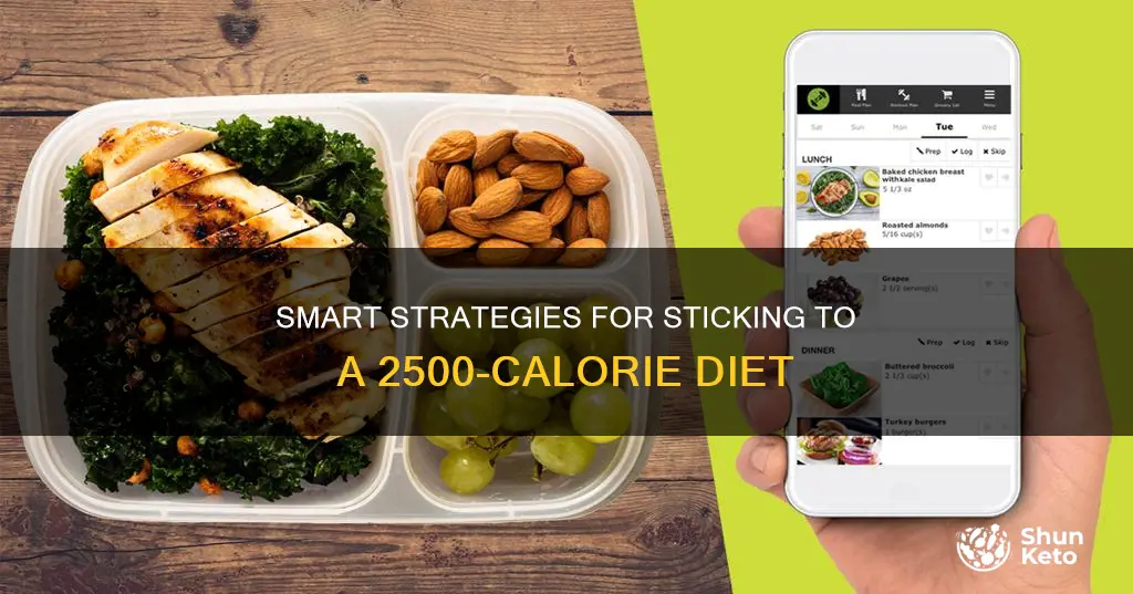 how to maintain 2500 calorie diet