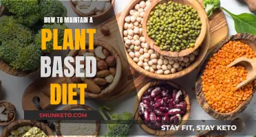 Plant-Based Diet: Tips for a Healthy, Sustainable Lifestyle