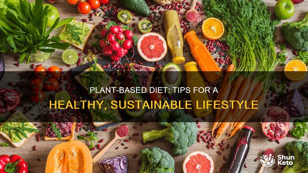 how to maintain a plant based diet