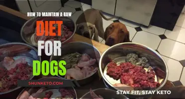 Raw Diet for Dogs: Maintaining a Healthy, Balanced Menu