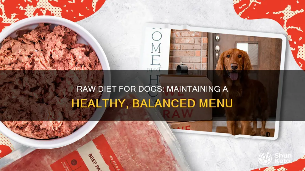 how to maintain a raw diet for dogs