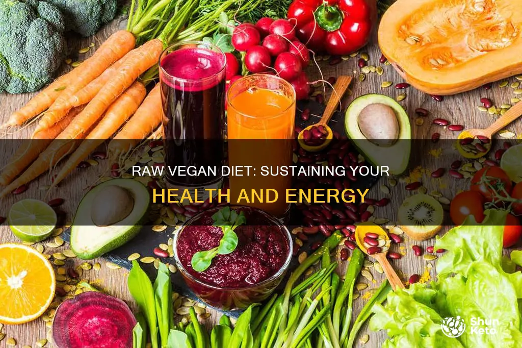 how to maintain a raw vegan diet