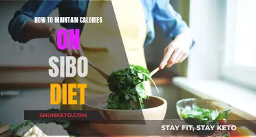 Sibo Diet: Strategies for Calorie Management and Weight Stability