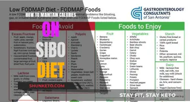 Maintaining Calories on SIBO Diet: Strategies for Success