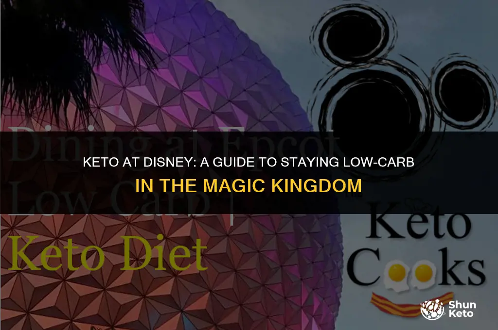 how to maintain keto at disney