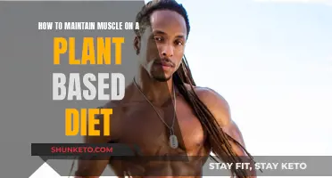 Plant-Based Diet: Maintain Muscle, Stay Strong