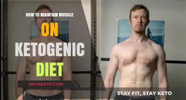 Maintain Muscle on Keto: Fueling Your Body Right