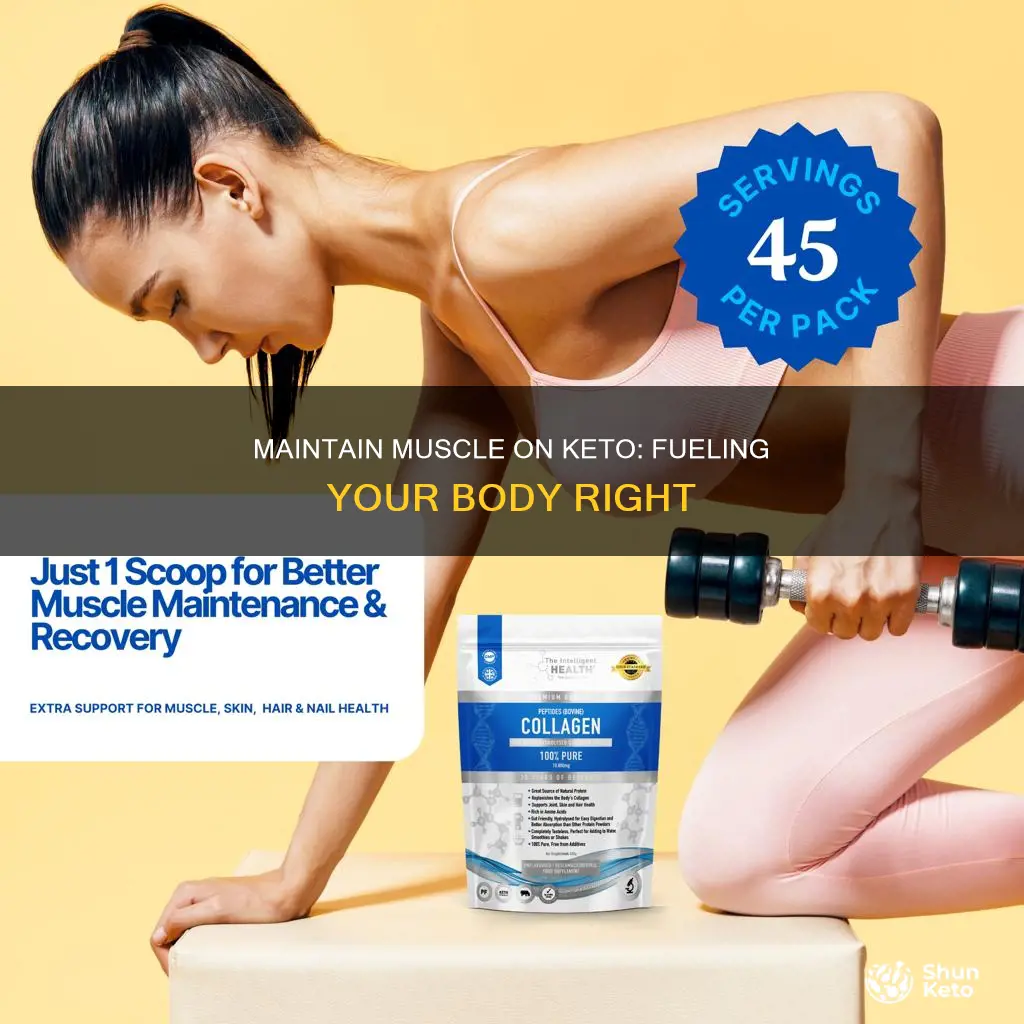 how to maintain muscle on ketogenic diet