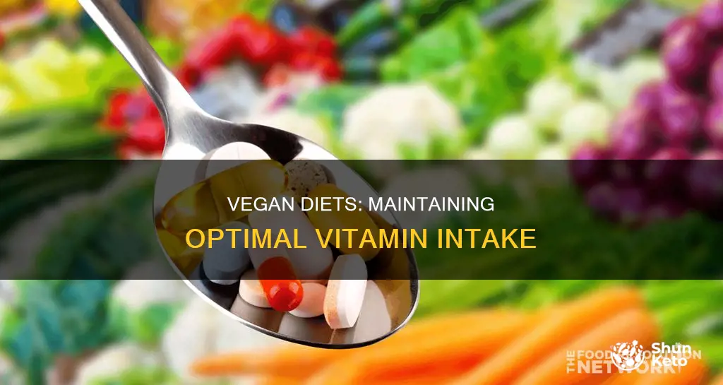 how to maintain your vitamins on a vegan diet