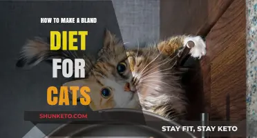 Creating a Bland Diet for Your Cat at Home