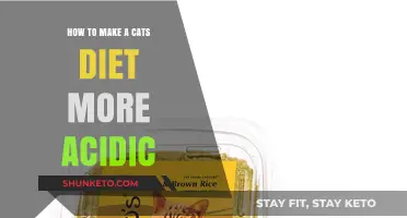 Acidifying Your Cat's Diet: Tips and Tricks
