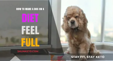 Keep Your Dog Full While Dieting